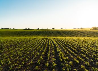 imagen alternativa-procesos construcción agrícola de ingeniería-ingenieriayparcelacionesmonegre